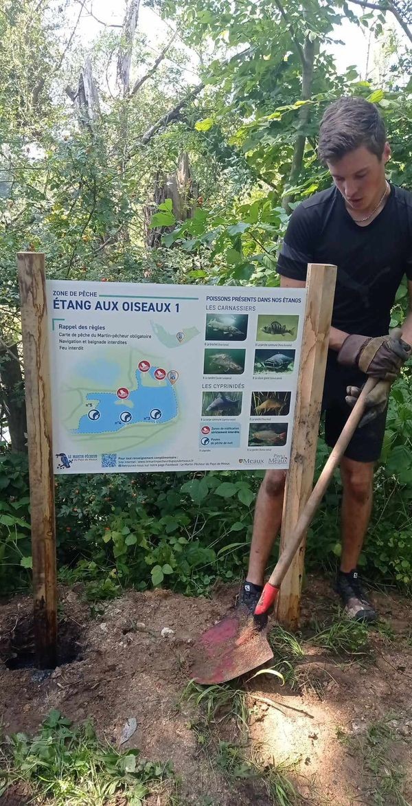 pose des panneaux avec des bénévoles